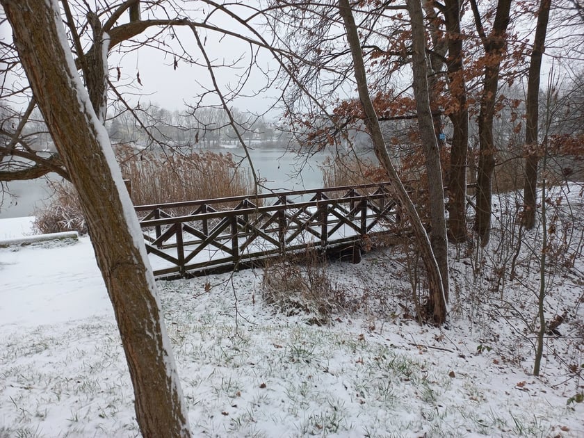 Zima we Wrocławiu. Osiedle Stabłowice w śniegu 21.01.2023