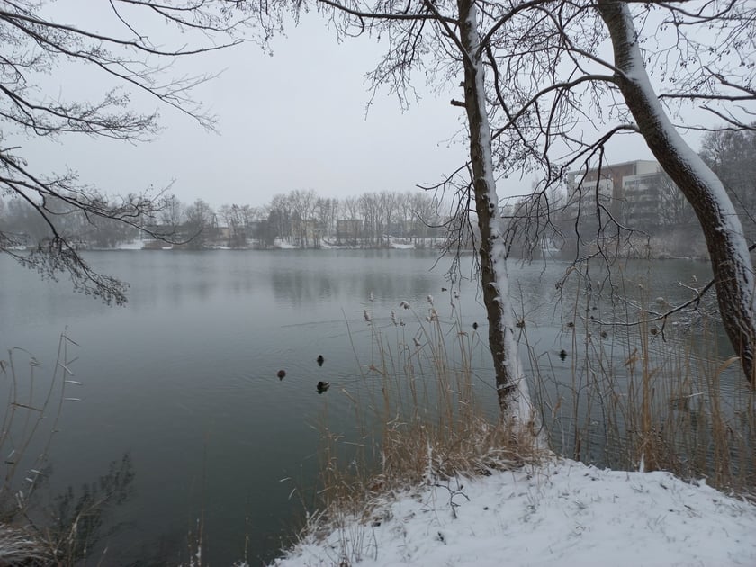 Zima we Wrocławiu. Osiedle Stabłowice w śniegu 21.01.2023