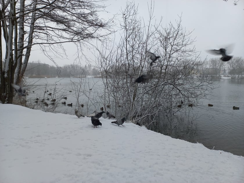 Zima we Wrocławiu. Osiedle Stabłowice w śniegu 21.01.2023