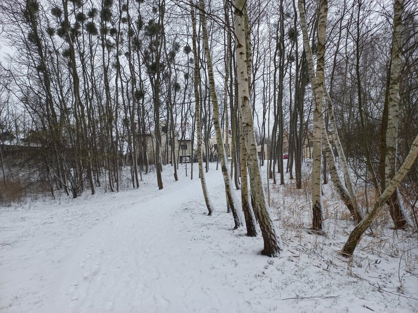 Zima we Wrocławiu. Osiedle Stabłowice w śniegu 21.01.2023