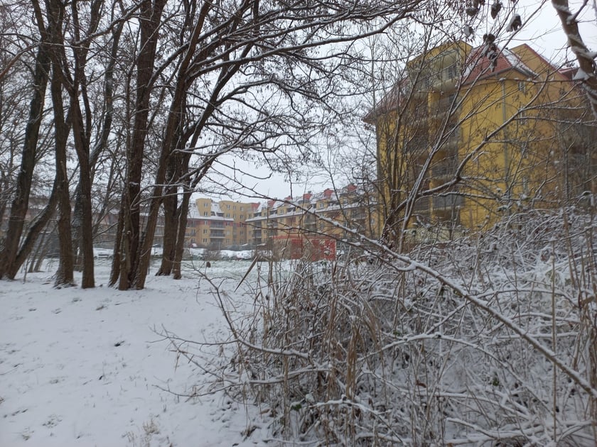 Zima we Wrocławiu. Osiedle Stabłowice w śniegu 21.01.2023