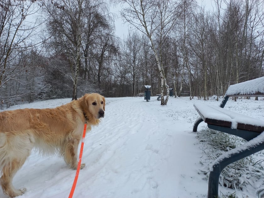 Zima we Wrocławiu. Osiedle Stabłowice w śniegu 21.01.2023