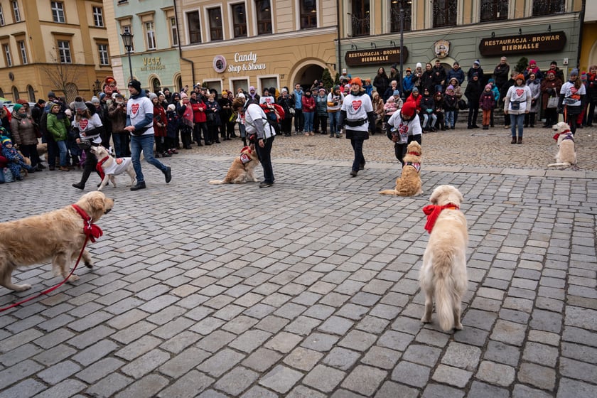 Finał WOŚP we Wrocławiu, 29.01.2023