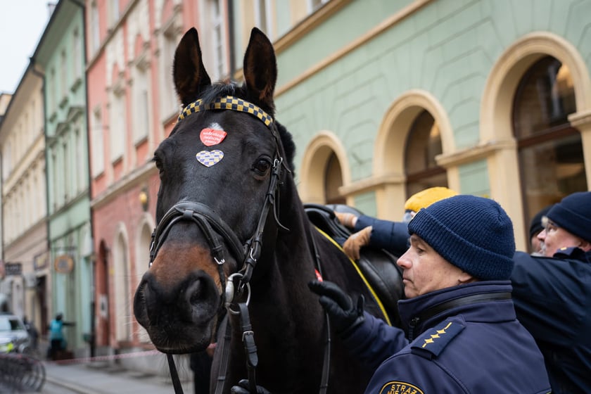 Finał WOŚP we Wrocławiu, 29.01.2023