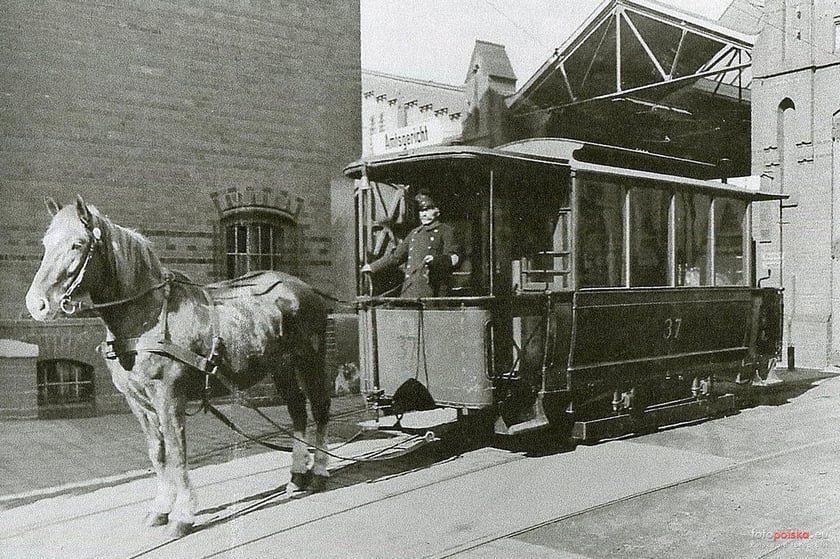 Lata 1930-1940&nbsp;, Turystyczny tramwaj konny w zajezdni V Popowice w latach trzydziestych&nbsp;