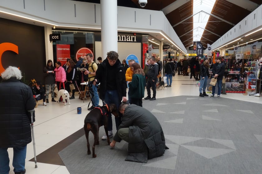 Na zdjęciach Targi PupiLove w Centrum Handlowym Borek, 12.02.2023