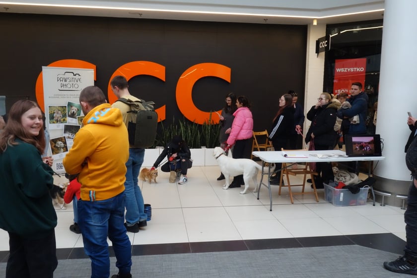 Na zdjęciach Targi PupiLove w Centrum Handlowym Borek, 12.02.2023