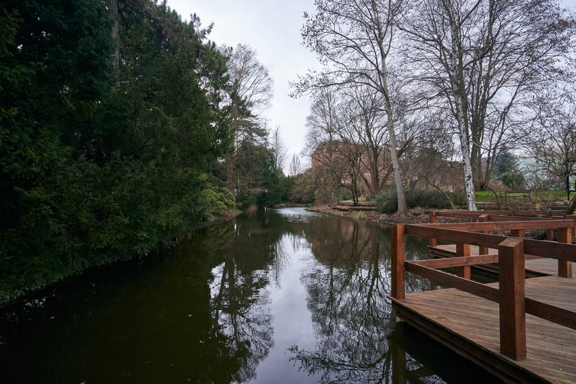 Widoki z Ogrodu Botanicznego, rośliny powoli budzą się na wiosnę