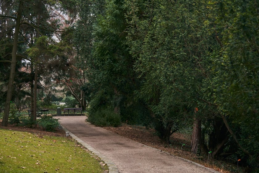 Widoki z Ogrodu Botanicznego, rośliny powoli budzą się na wiosnę