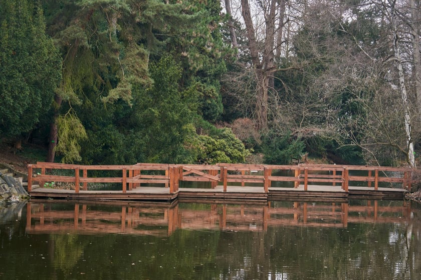 Widoki z Ogrodu Botanicznego, rośliny powoli budzą się na wiosnę
