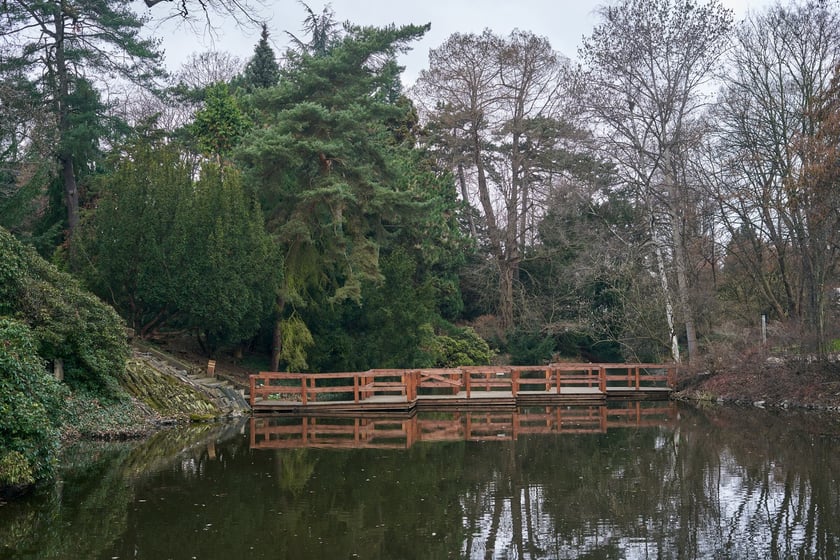 Widoki z Ogrodu Botanicznego, rośliny powoli budzą się na wiosnę