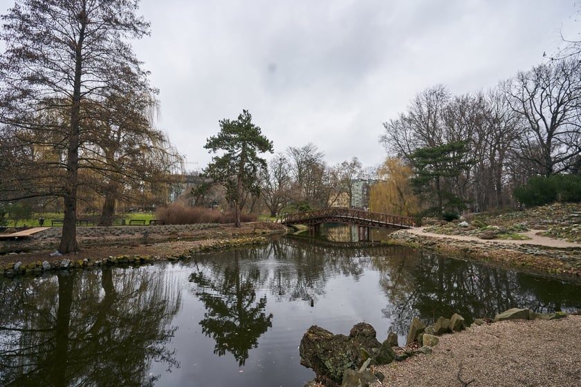 Widoki z Ogrodu Botanicznego, rośliny powoli budzą się na wiosnę