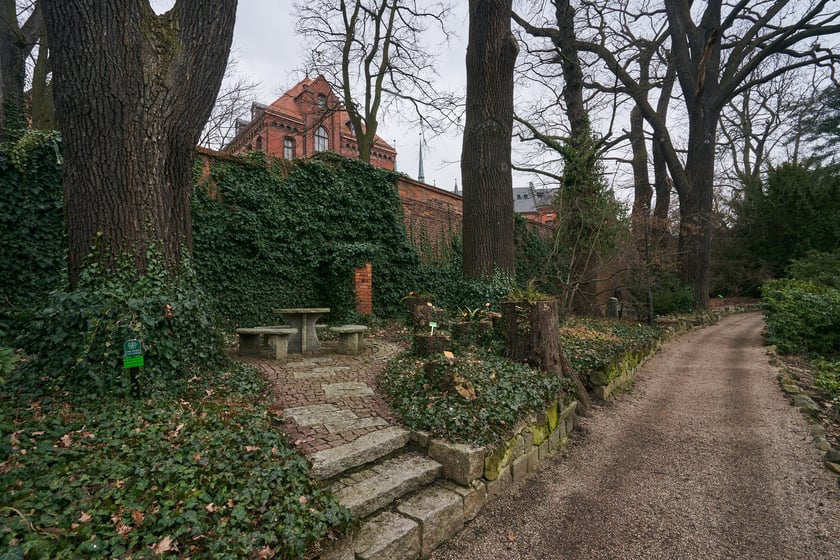 Widoki z Ogrodu Botanicznego, rośliny powoli budzą się na wiosnę