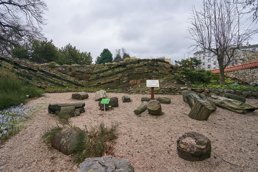 Widoki z Ogrodu Botanicznego, rośliny powoli budzą się na wiosnę