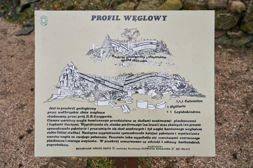 Widoki z Ogrodu Botanicznego, rośliny powoli budzą się na wiosnę