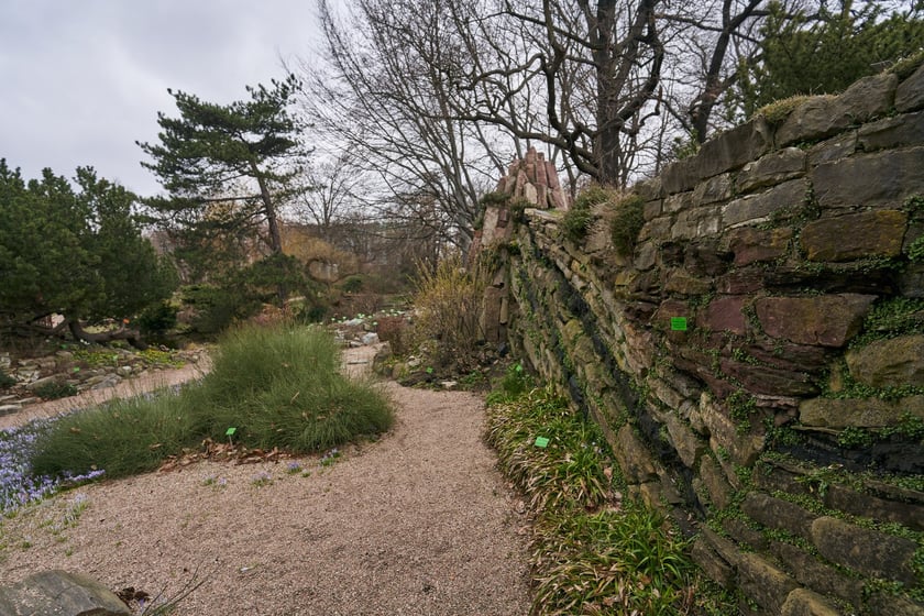 Widoki z Ogrodu Botanicznego, rośliny powoli budzą się na wiosnę