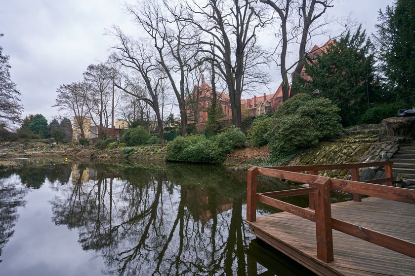 Widoki z Ogrodu Botanicznego, rośliny powoli budzą się na wiosnę