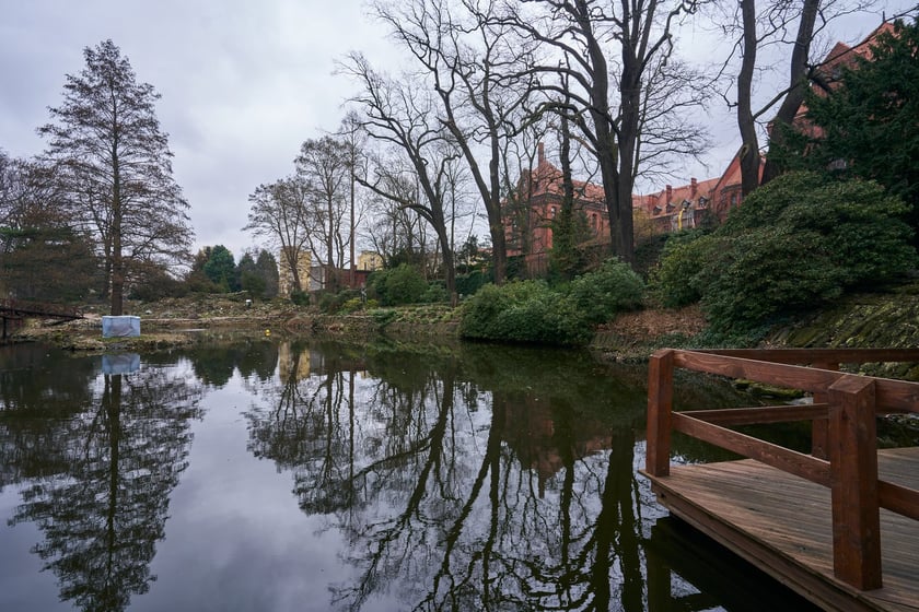 Widoki z Ogrodu Botanicznego, rośliny powoli budzą się na wiosnę