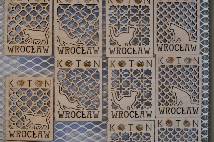 KOTON. Kocia kawiarnia we Wrocławiu