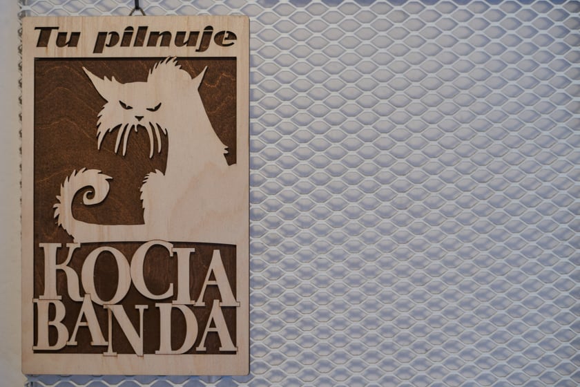 KOTON. Kocia kawiarnia we Wrocławiu