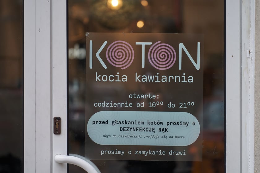 KOTON. Kocia kawiarnia we Wrocławiu