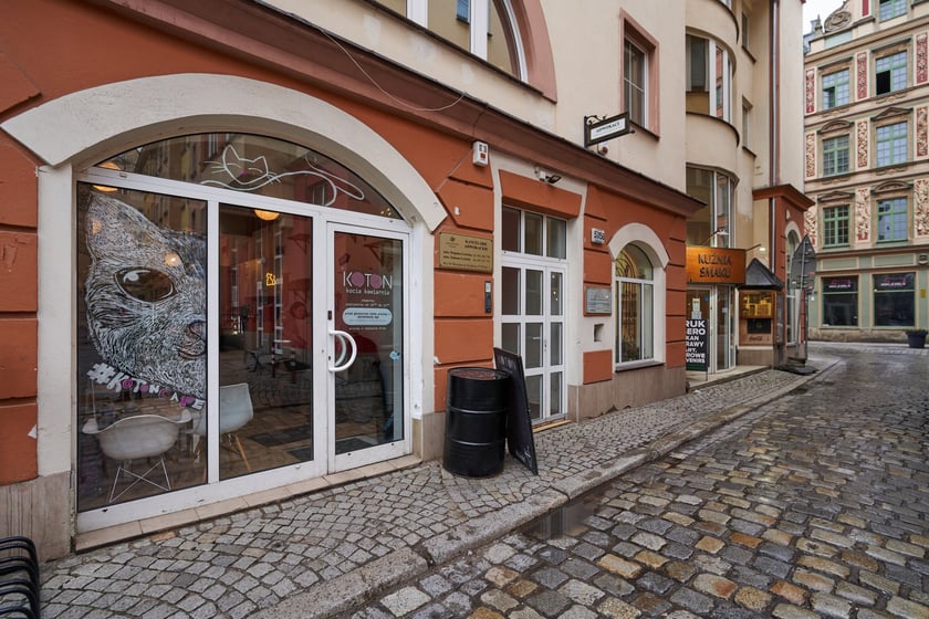 KOTON. Kocia kawiarnia we Wrocławiu