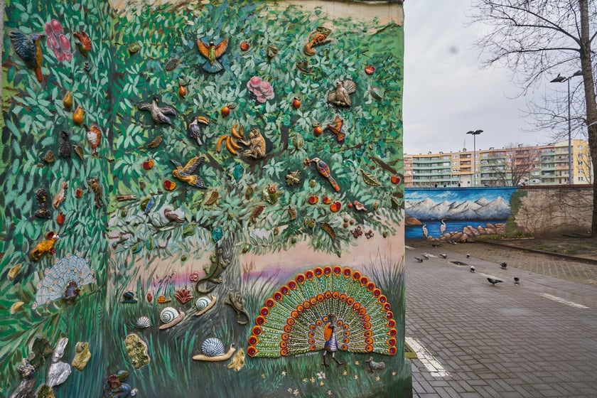 Kolorowe Podrówka na Nadodrzu