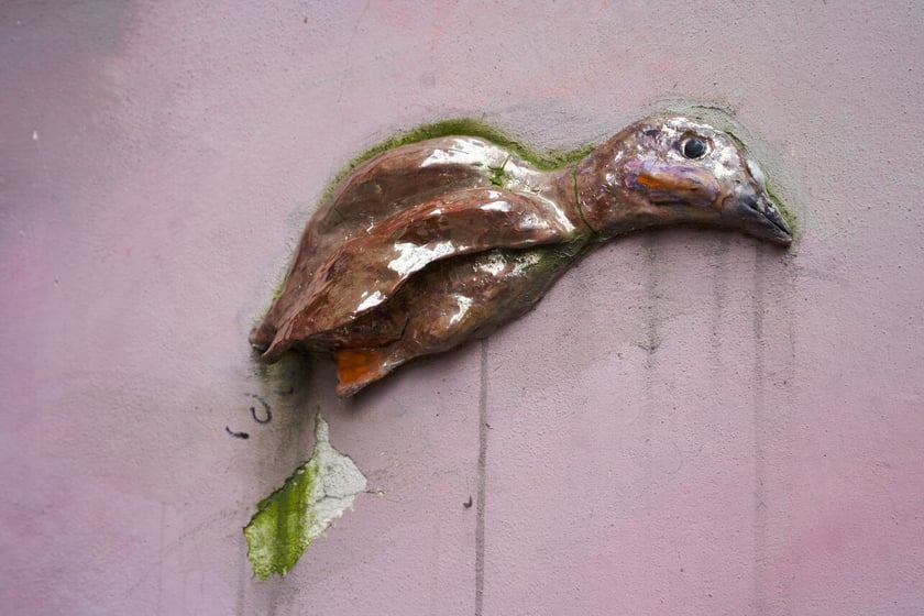 Kolorowe Podrówka na Nadodrzu