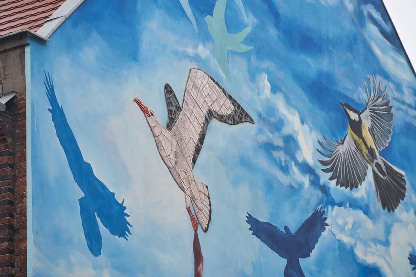 Kolorowe Podrówka na Nadodrzu