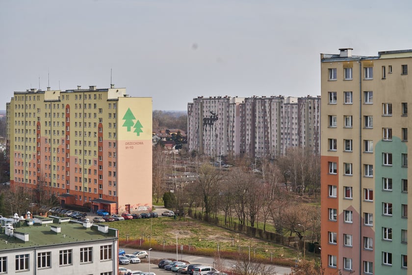 Panorama Gaju we Wrocławiu