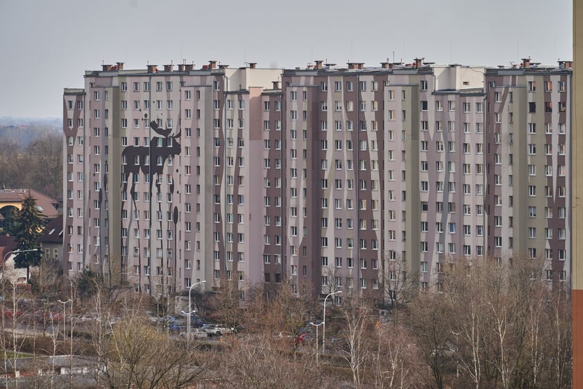 Panorama Gaju we Wrocławiu