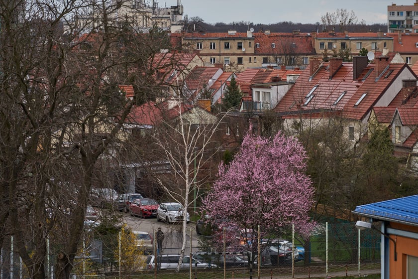 Pilczyce z lotu ptaka