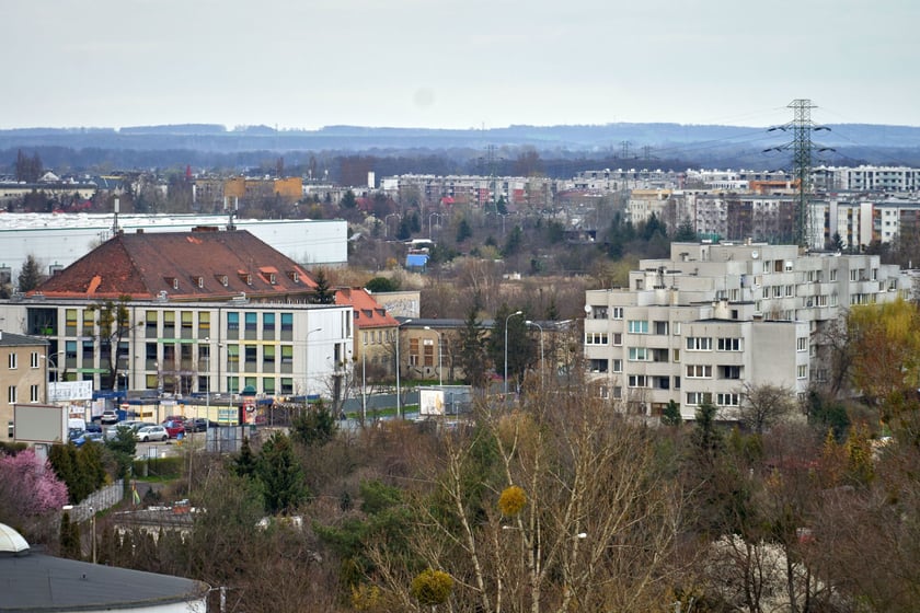 Panorama wrocławskiej Różanki