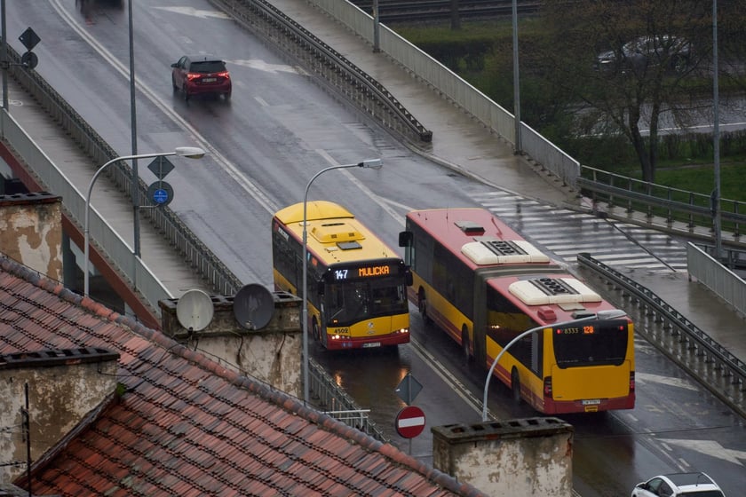 Psie Pole z lotu ptaka