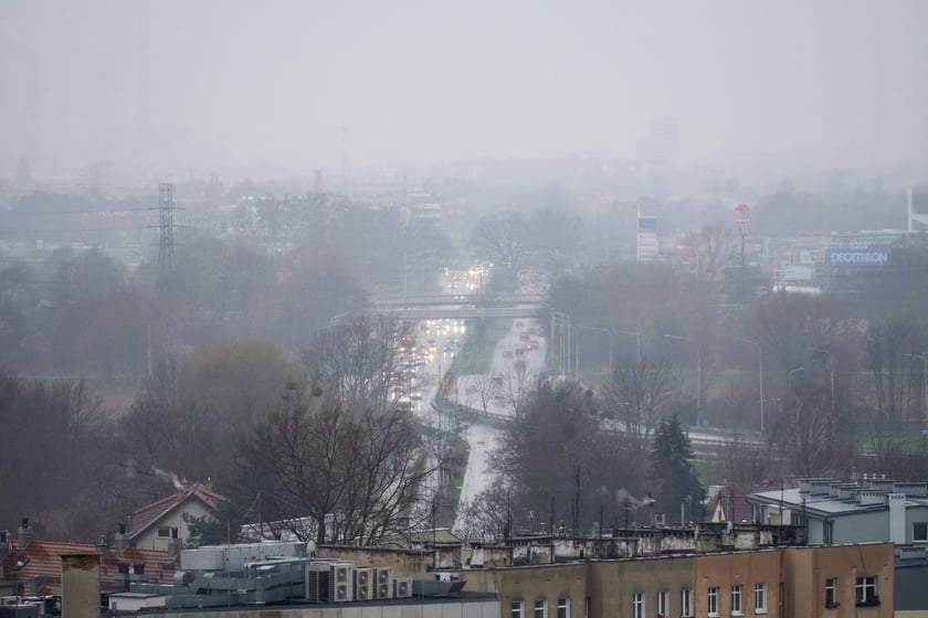 Psie Pole z lotu ptaka