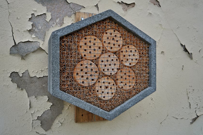 Dawny majątek Kornów na osiedlu Pawłowice we Wrocławiu