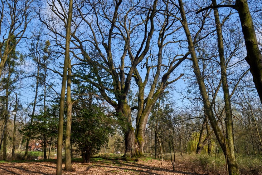 Dawny majątek Kornów na osiedlu Pawłowice we Wrocławiu