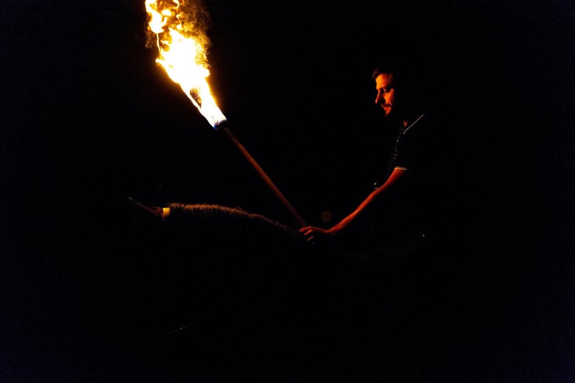 Zdjęcia Wiktora Rzeżuchowskiego, fotografa i  instruktora jazdy konnej