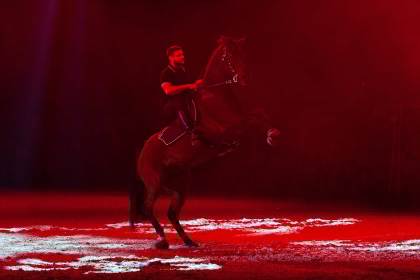 Zdjęcia Wiktora Rzeżuchowskiego, fotografa i  instruktora jazdy konnej