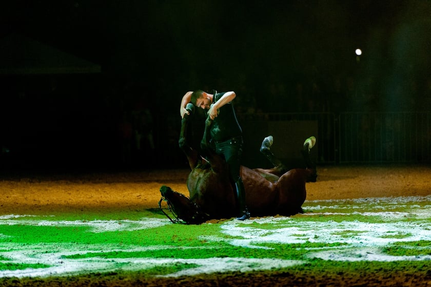 Zdjęcia Wiktora Rzeżuchowskiego, fotografa i  instruktora jazdy konnej