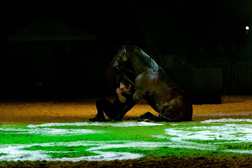 Zdjęcia Wiktora Rzeżuchowskiego, fotografa i  instruktora jazdy konnej
