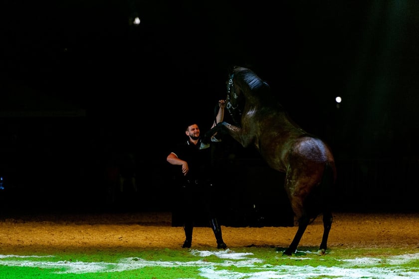 Zdjęcia Wiktora Rzeżuchowskiego, fotografa i  instruktora jazdy konnej