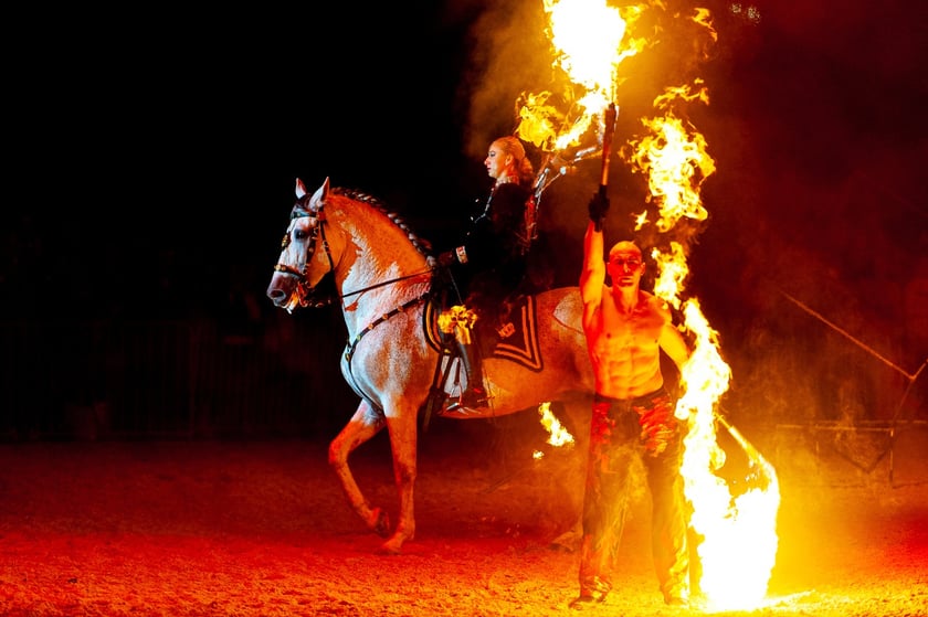 Zdjęcia Wiktora Rzeżuchowskiego, fotografa i  instruktora jazdy konnej