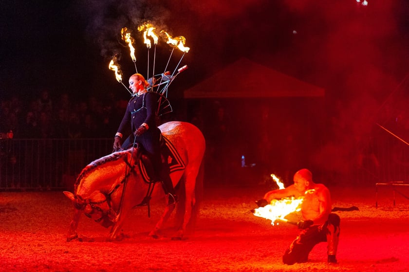 Zdjęcia Wiktora Rzeżuchowskiego, fotografa i  instruktora jazdy konnej