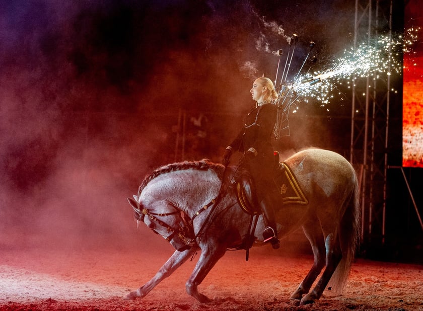 Zdjęcia Wiktora Rzeżuchowskiego, fotografa i  instruktora jazdy konnej