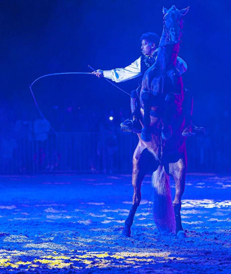 Zdjęcia Wiktora Rzeżuchowskiego, fotografa i  instruktora jazdy konnej