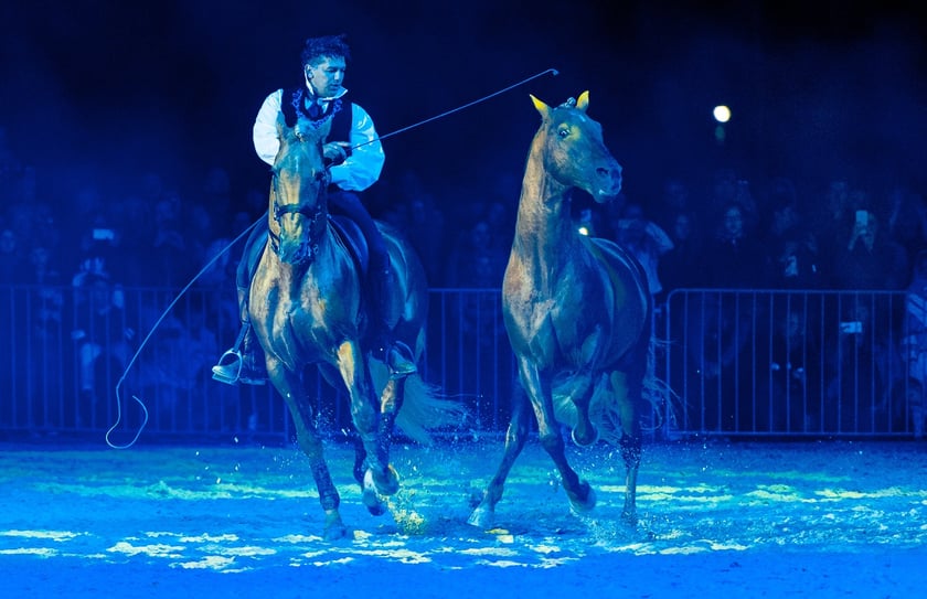 Zdjęcia Wiktora Rzeżuchowskiego, fotografa i  instruktora jazdy konnej