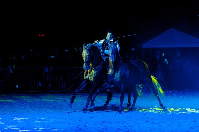 Zdjęcia Wiktora Rzeżuchowskiego, fotografa i  instruktora jazdy konnej