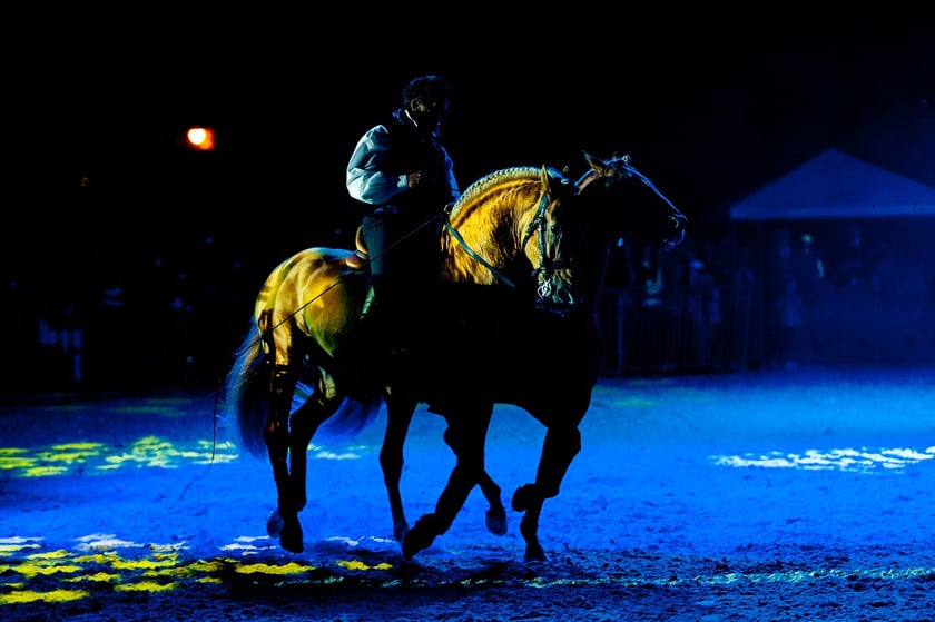 Zdjęcia Wiktora Rzeżuchowskiego, fotografa i  instruktora jazdy konnej