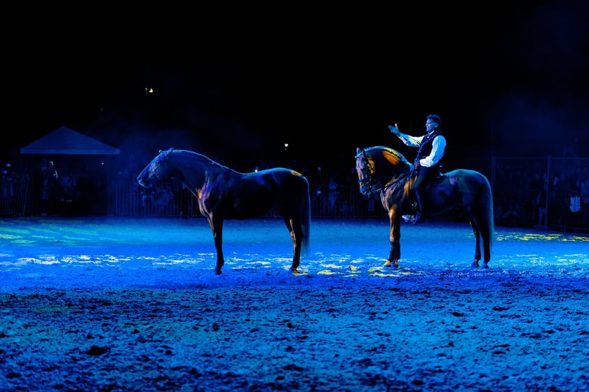 Zdjęcia Wiktora Rzeżuchowskiego, fotografa i  instruktora jazdy konnej